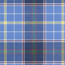 Texas Blue Bonnet -Tartan