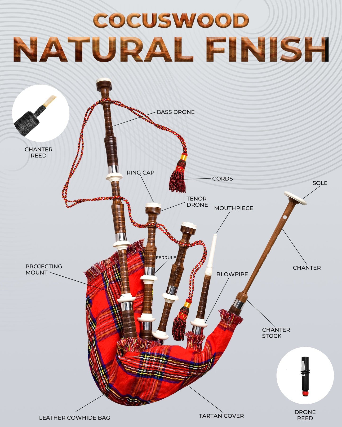 Full Size Cocuswood Bagpipe with Box | Royal Stewart