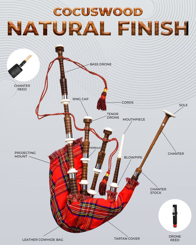 Full Size Cocuswood Bagpipe with Box | Royal Stewart