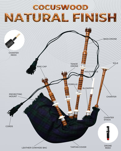 Full Size Rosewood Bagpipe with Box | Black Watch
