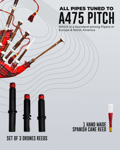 Full Size Cocuswood Bagpipe with Box | Royal Stewart