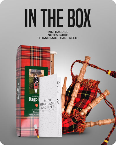 Mini Miniature Bagpipe - Rosewood Bagpipe for Beginners, Playable Gift | Wallace